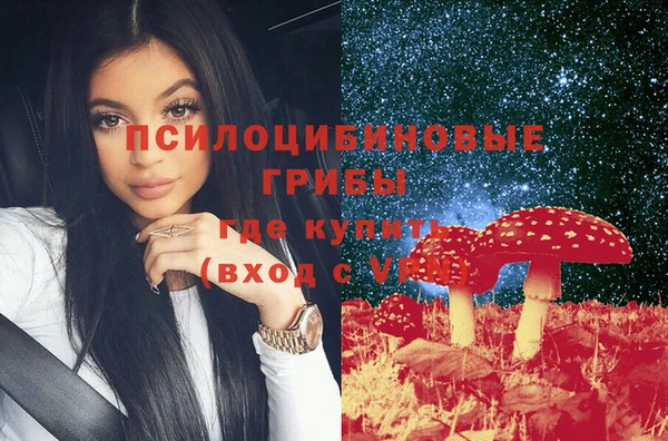 мдпв Абаза