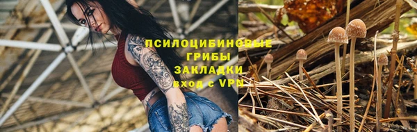 молекула духа Алексин