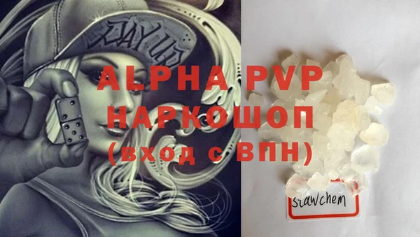 молекула духа Алексин
