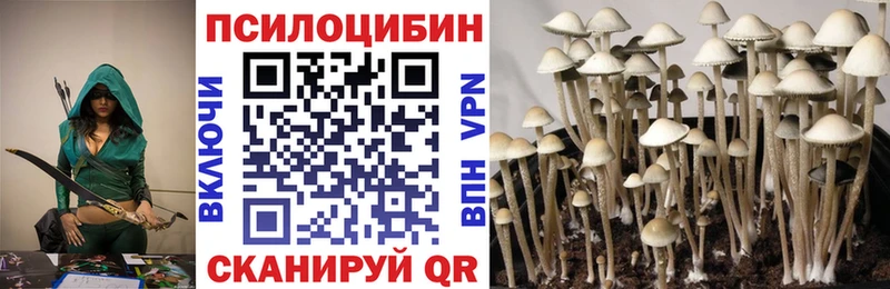 Псилоцибиновые грибы ЛСД Ермолино